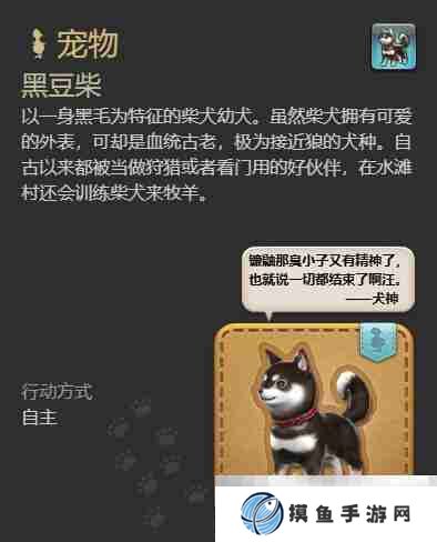 最終幻想14：水晶世界黑豆柴寵物如何獲得 黑豆柴寵物獲得方法