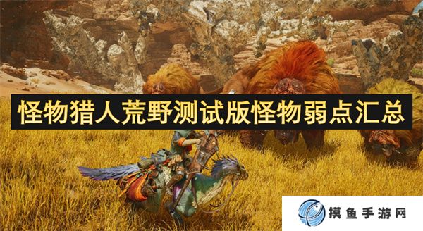 怪物獵人荒野測試版怪物弱點匯總