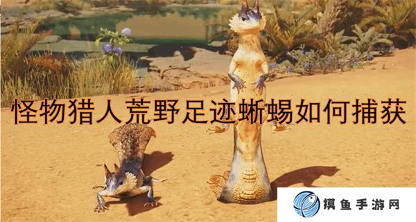 怪物獵人荒野足跡蜥蜴如何捕獲