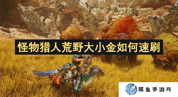 怪物獵人荒野大小金如何速刷