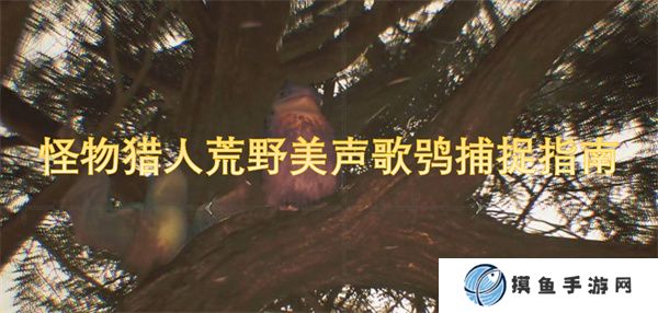 怪物獵人荒野美聲歌鸮捕捉指南