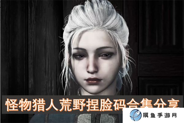 怪物獵人荒野捏臉碼合集分享