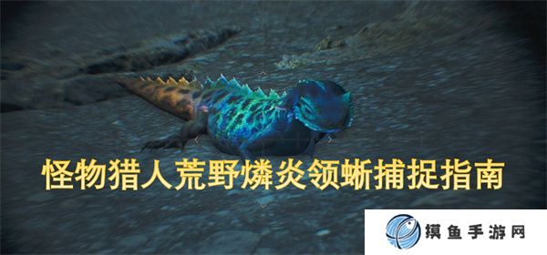 怪物獵人荒野燐炎領蜥捕捉指南