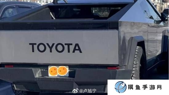 美特斯拉車主為抗議馬斯克：把車標換成豐田、奧迪等